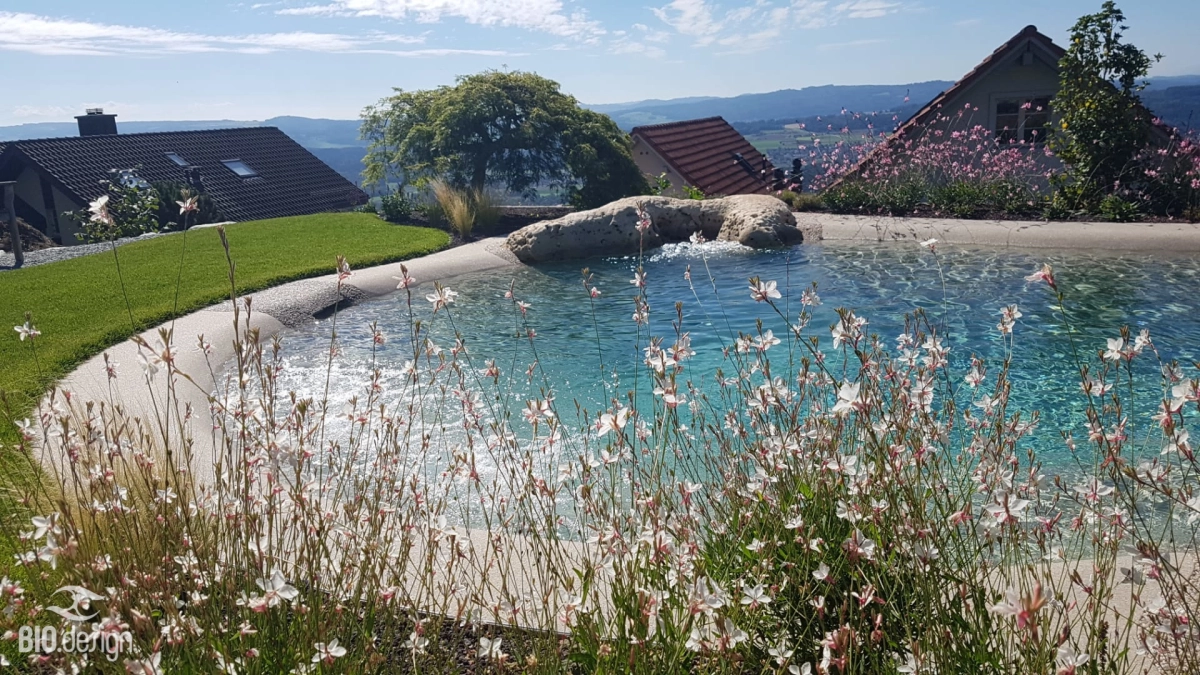 <p>Piscine <strong>naturelle</strong></p>