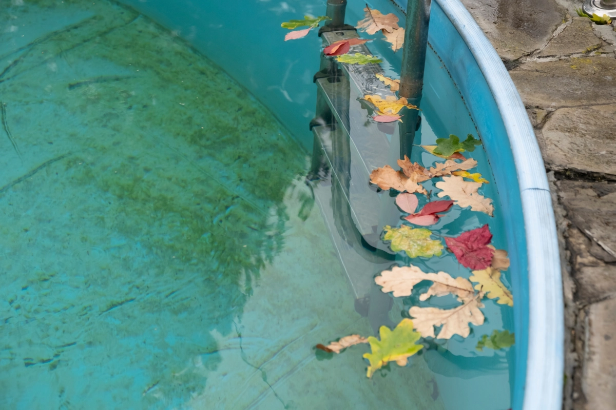 Salet&eacute; et feuilles mortes : les al&eacute;as de l'automne